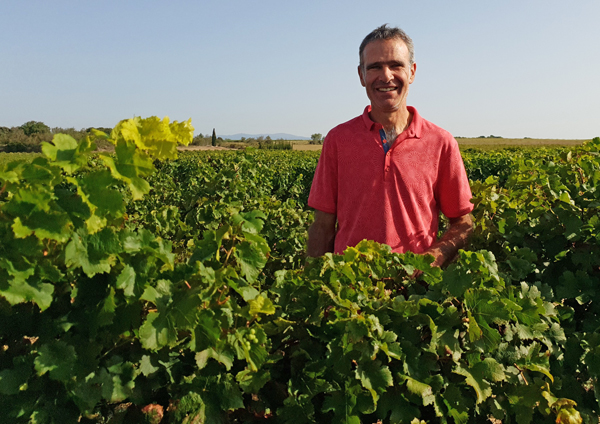 visuel-VIGNERON-CABERNET-FRANC