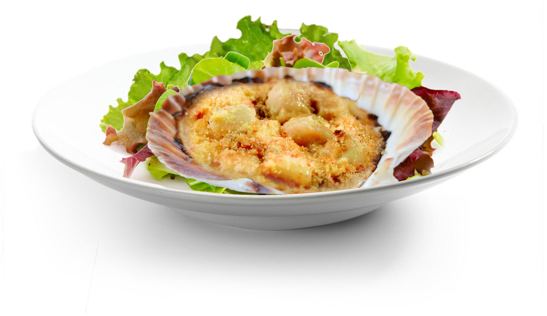 coquille-saint-jacques-a-la-bretonne-assiette