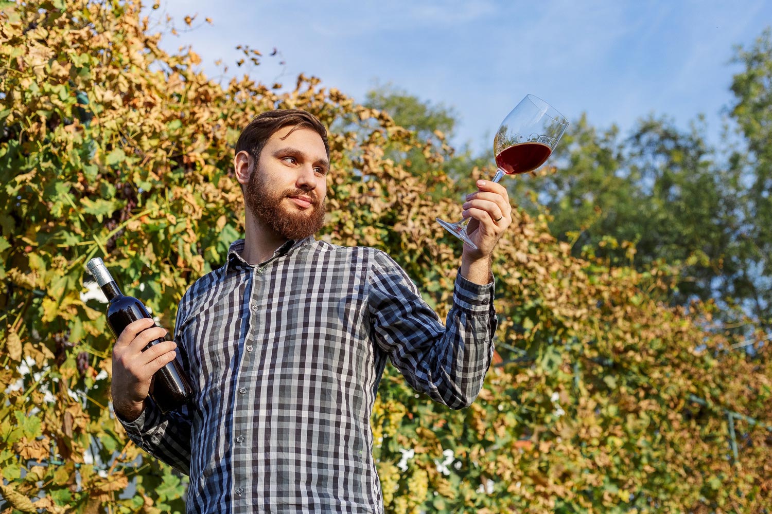 vigneron