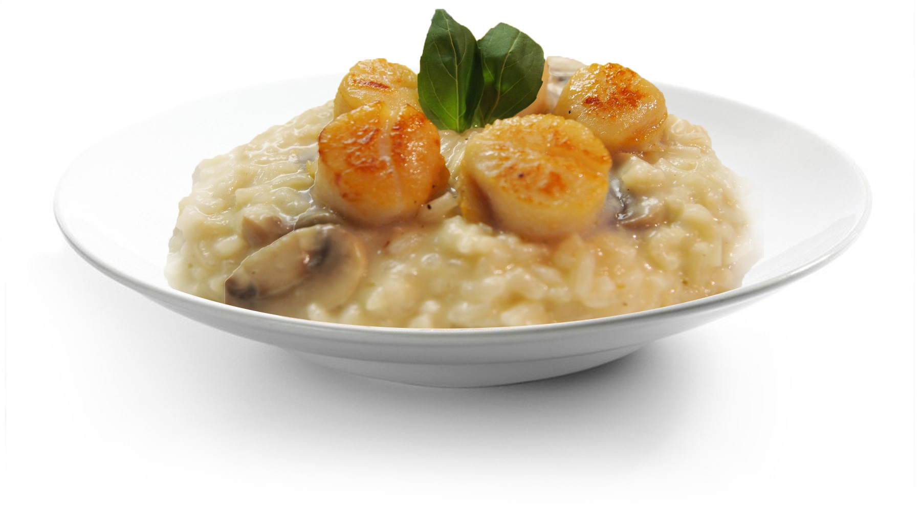 assiette-Risotto-aux-saints-jacques
